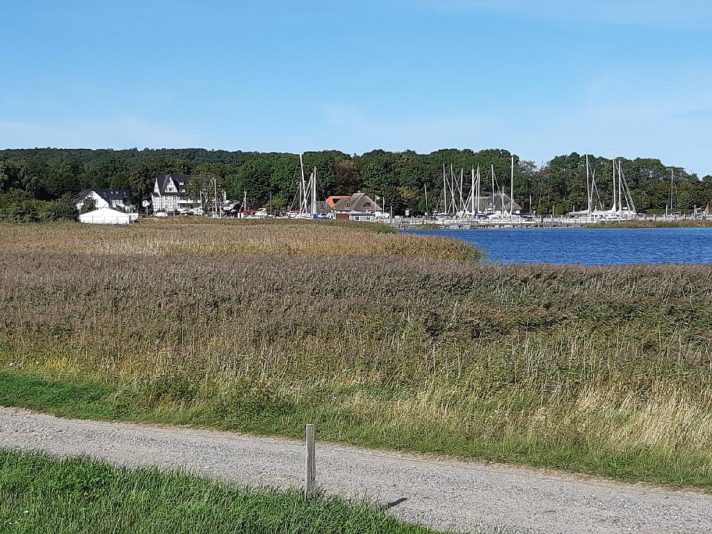 Ruegen (243)